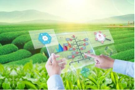 赋能制造业升级推动农业数字化转型,营造共享共赢网络生态